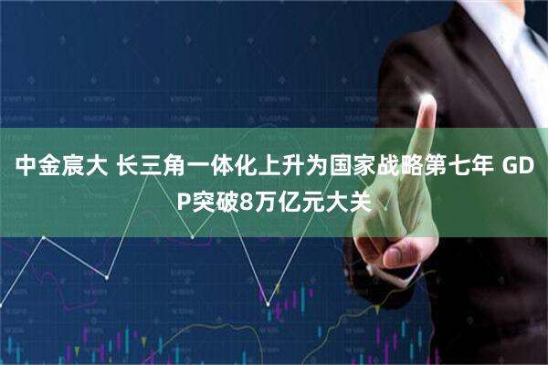 中金宸大 长三角一体化上升为国家战略第七年 GDP突破8万亿元大关