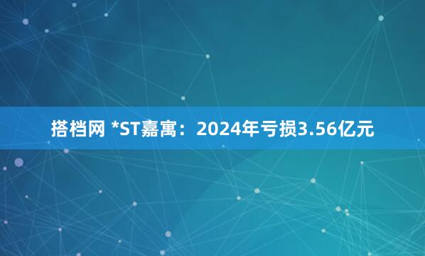 搭档网 *ST嘉寓：2024年亏损3.56亿元