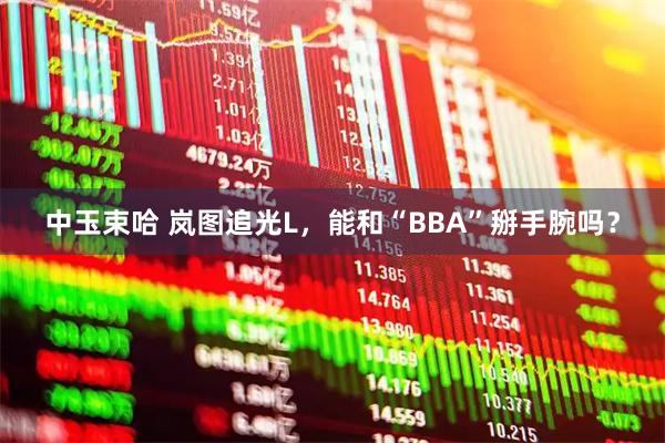 中玉束哈 岚图追光L，能和“BBA”掰手腕吗？